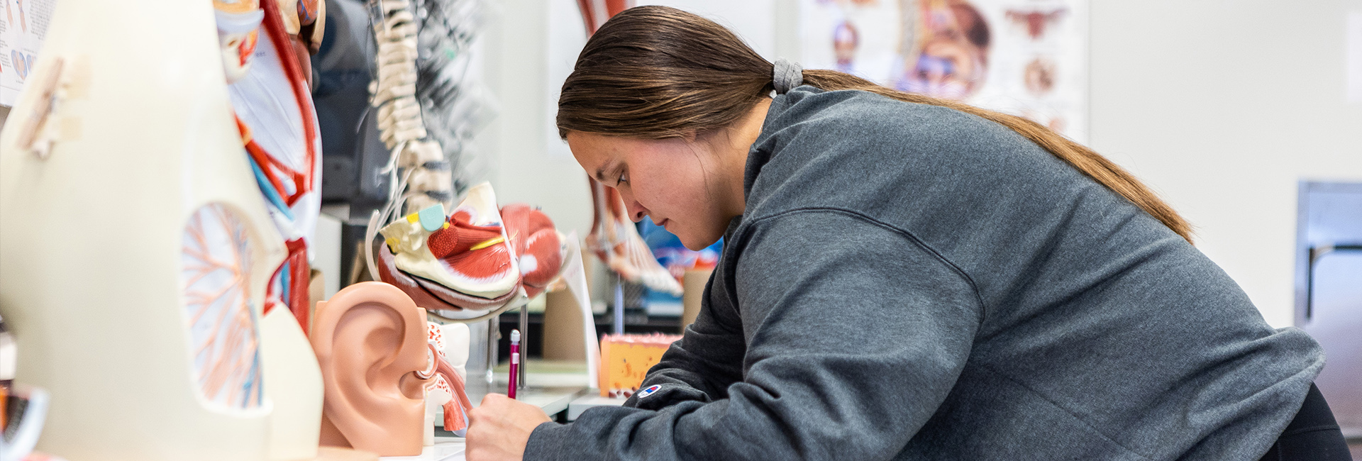 School of Natural and Applied Sciences