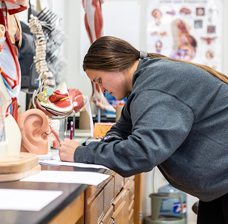 School of Natural and Applied Sciences
