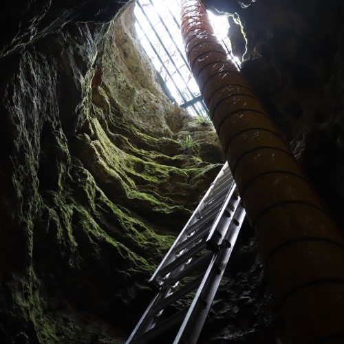 Entrance to Friesenhahn Cave