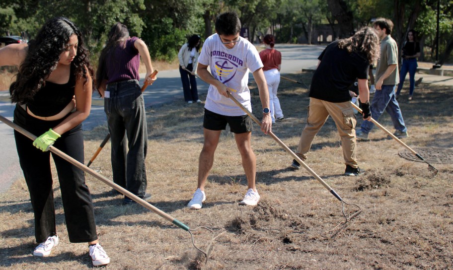 Concordia University Texas students working together on cleaning up the environment